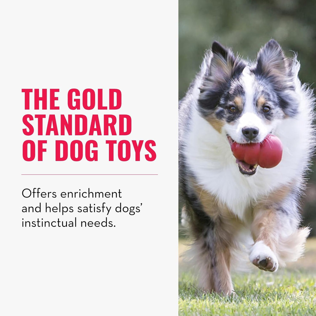 Classic Stuffable Dog Toy - Fetch & Chew Toy for Dogs - Treat-Filling Capabilities & Erratic Bounce for Extended Play Time - Durable Natural Rubber Material - for Extra Small Dogs