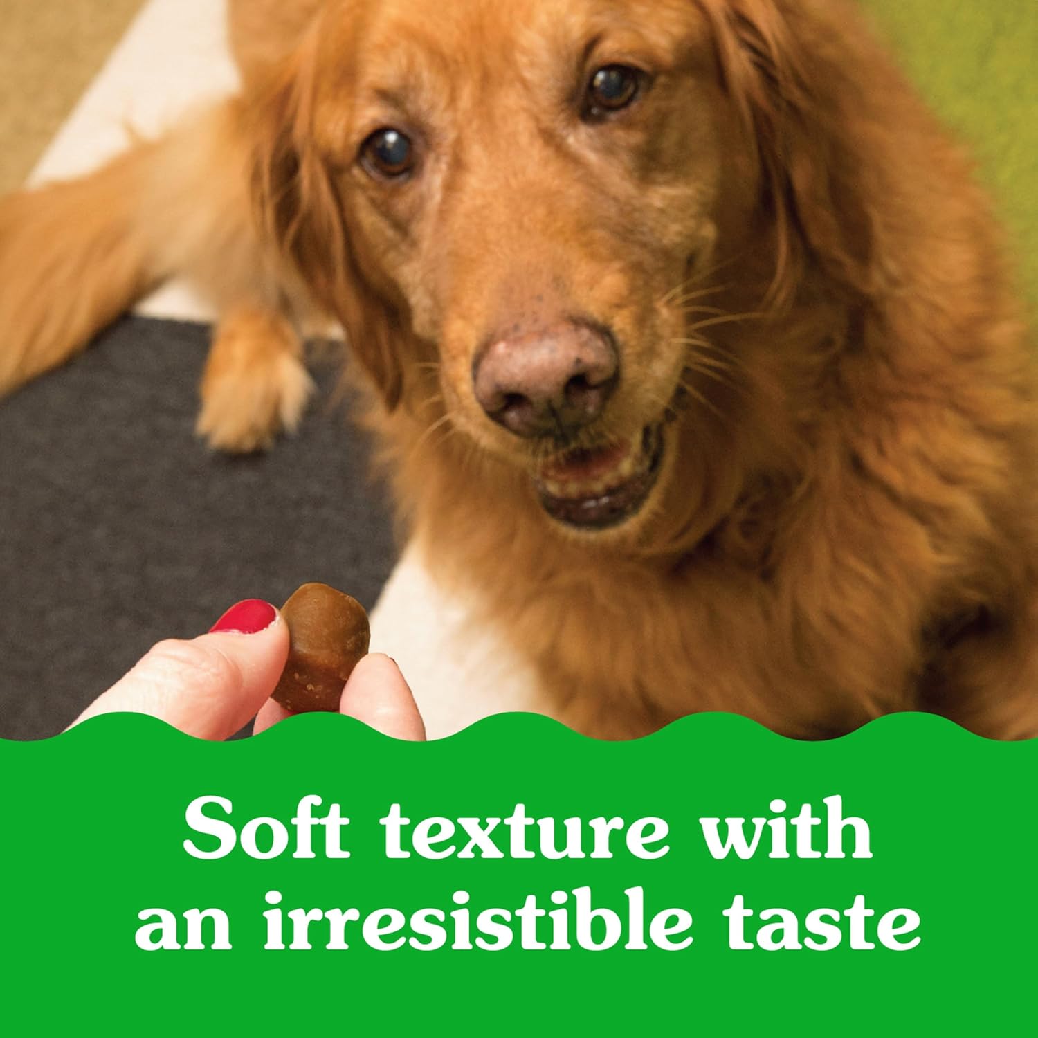 Pill Pockets for Dogs Large Size, Soft Dog Treats, with Real Peanut Butter, 15.8 Oz. Pouch (60 Treats)