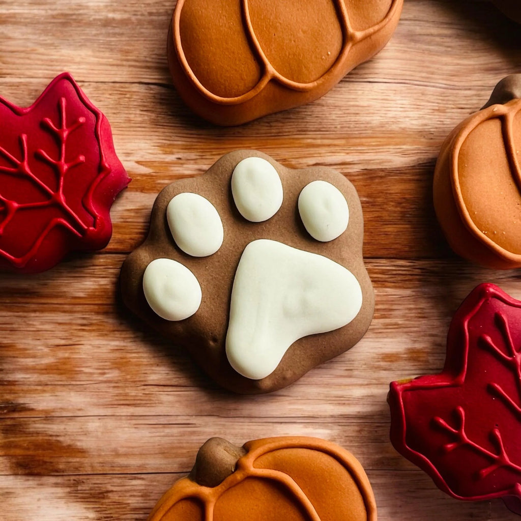 Fall Mini Trail Mix Gourmet Dog Treats | Fall Dog Treats | Organic Dog Treats | All Natural Dog Cookies | Dog Treat Box | Dog Treats