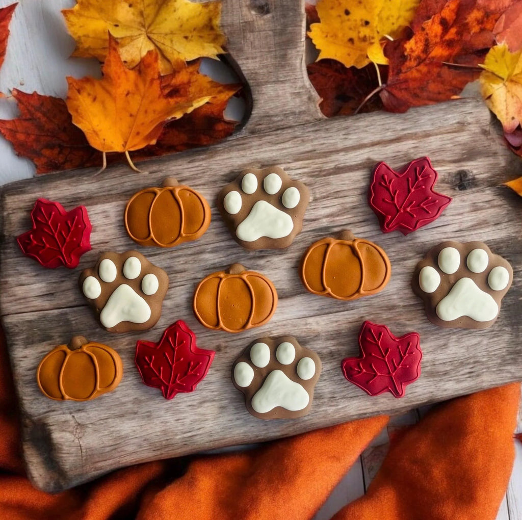 Fall Mini Trail Mix Gourmet Dog Treats | Fall Dog Treats | Organic Dog Treats | All Natural Dog Cookies | Dog Treat Box | Dog Treats