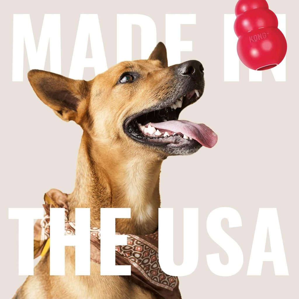 Classic Stuffable Dog Toy - Fetch & Chew Toy for Dogs - Treat-Filling Capabilities & Erratic Bounce for Extended Play Time - Durable Natural Rubber Material - for Extra Small Dogs